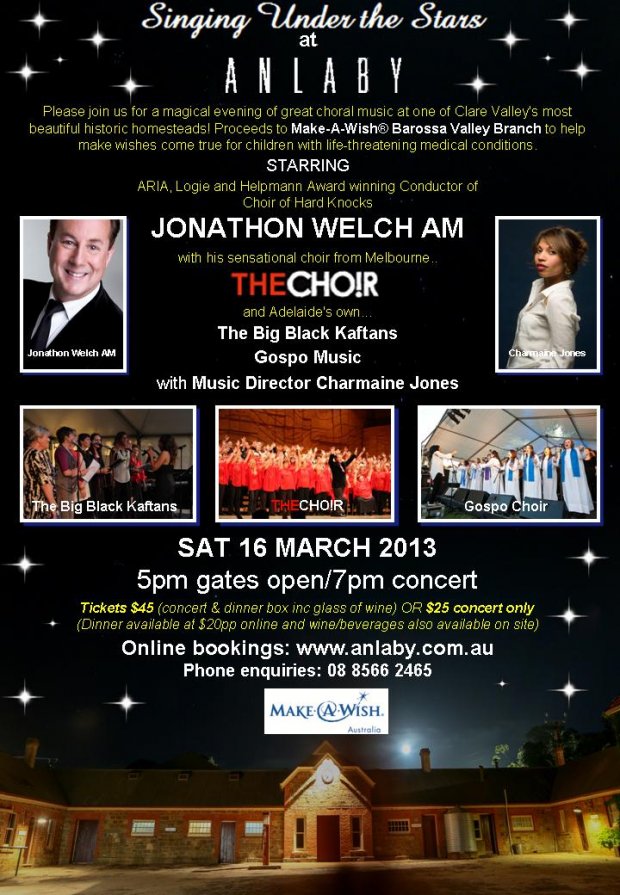 Singing Under The Stars at Anlaby - 16th March 2013 - Promo Flier