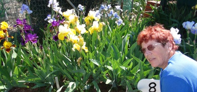 Eudunda Open Iris Blooms with Betty Gray