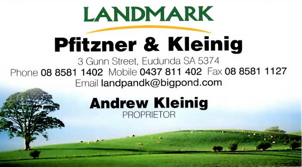 Landmark Pfitzner & Kleinig