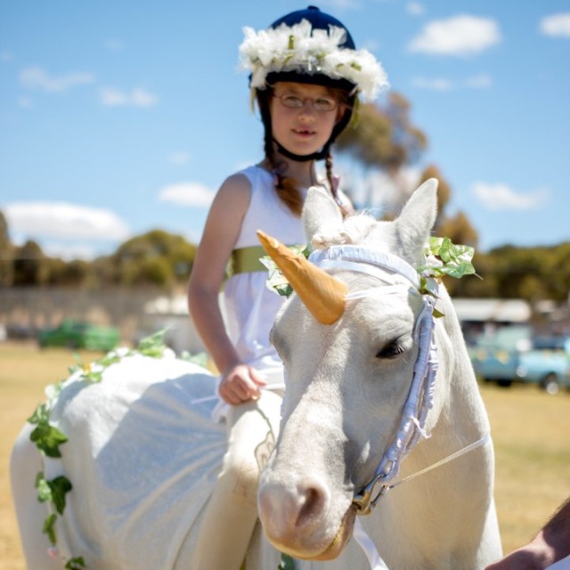 Eudunda Show Horses