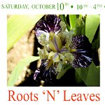 Roots ‘N’ Leaves – Inaugural Open Day – 10th Oct 2015