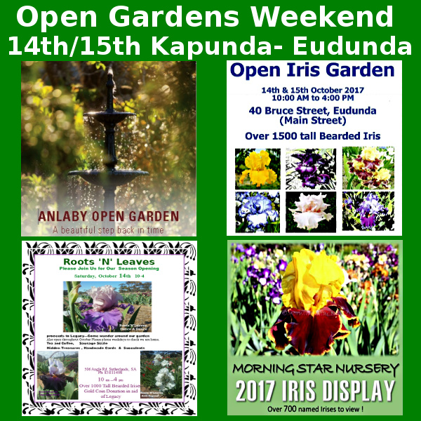 Eudunda & Kapunda Open Gardens 14-15th Oct 2017