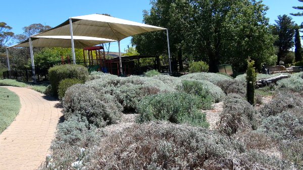 Eudunda Gardens showing covered fenced playground