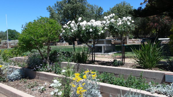 Eudunda Gardens - the original garden flowers changing all the time