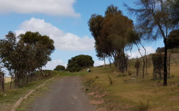 Eudunda Golf Course, Memorial Way, spend some time reflecting